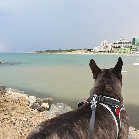 квартири сън בית הארחה נסבר